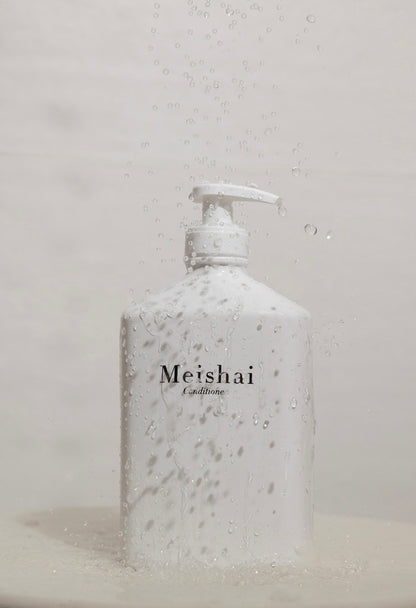 Conditioner